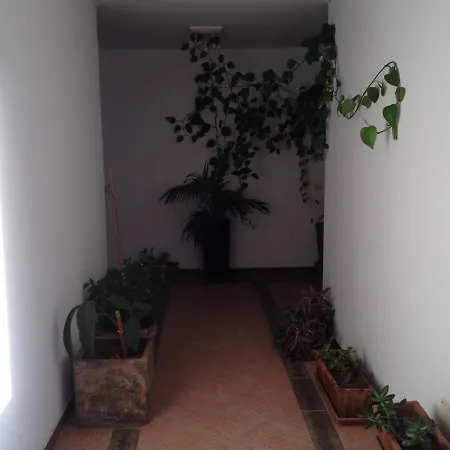 Tenerife Colonial